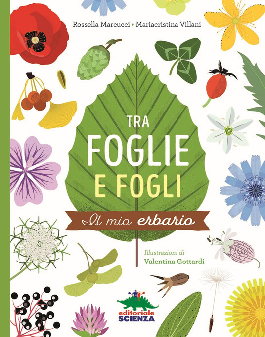 Tra foglie e fogli