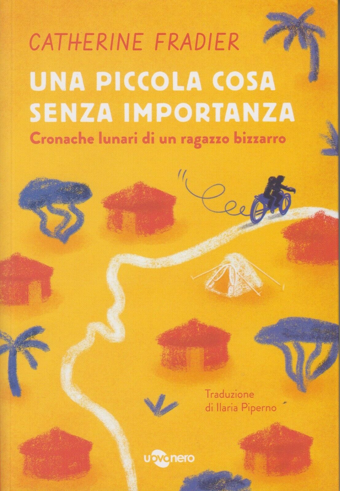 Una piccola cosa senza importanza