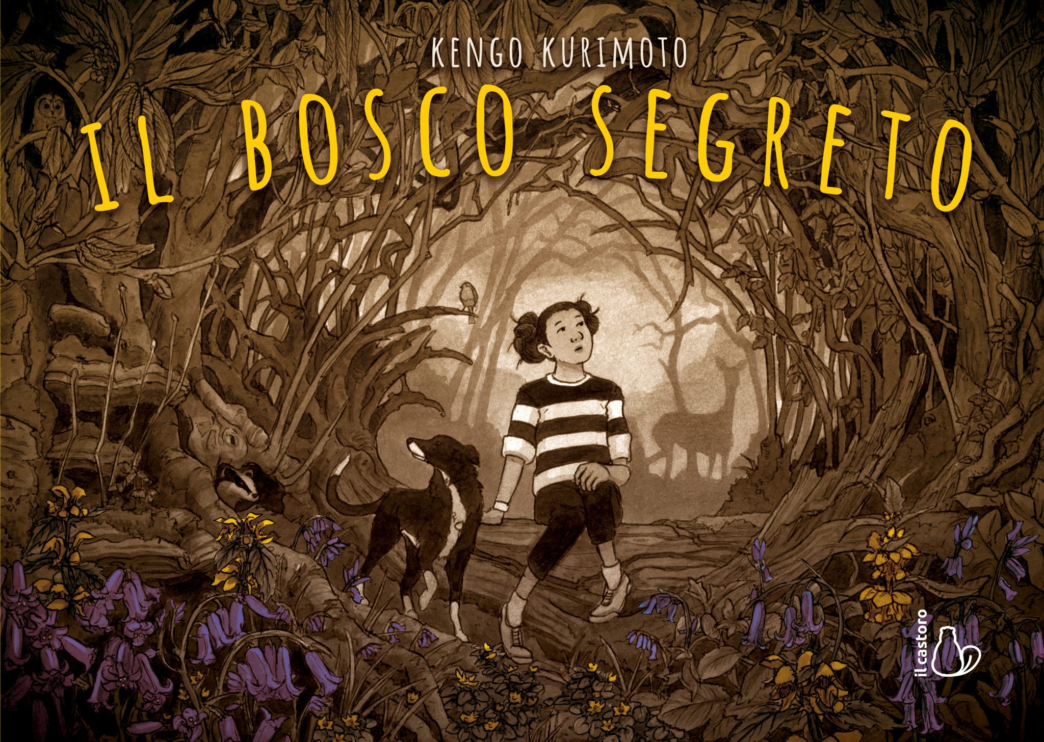 Il bosco segreto