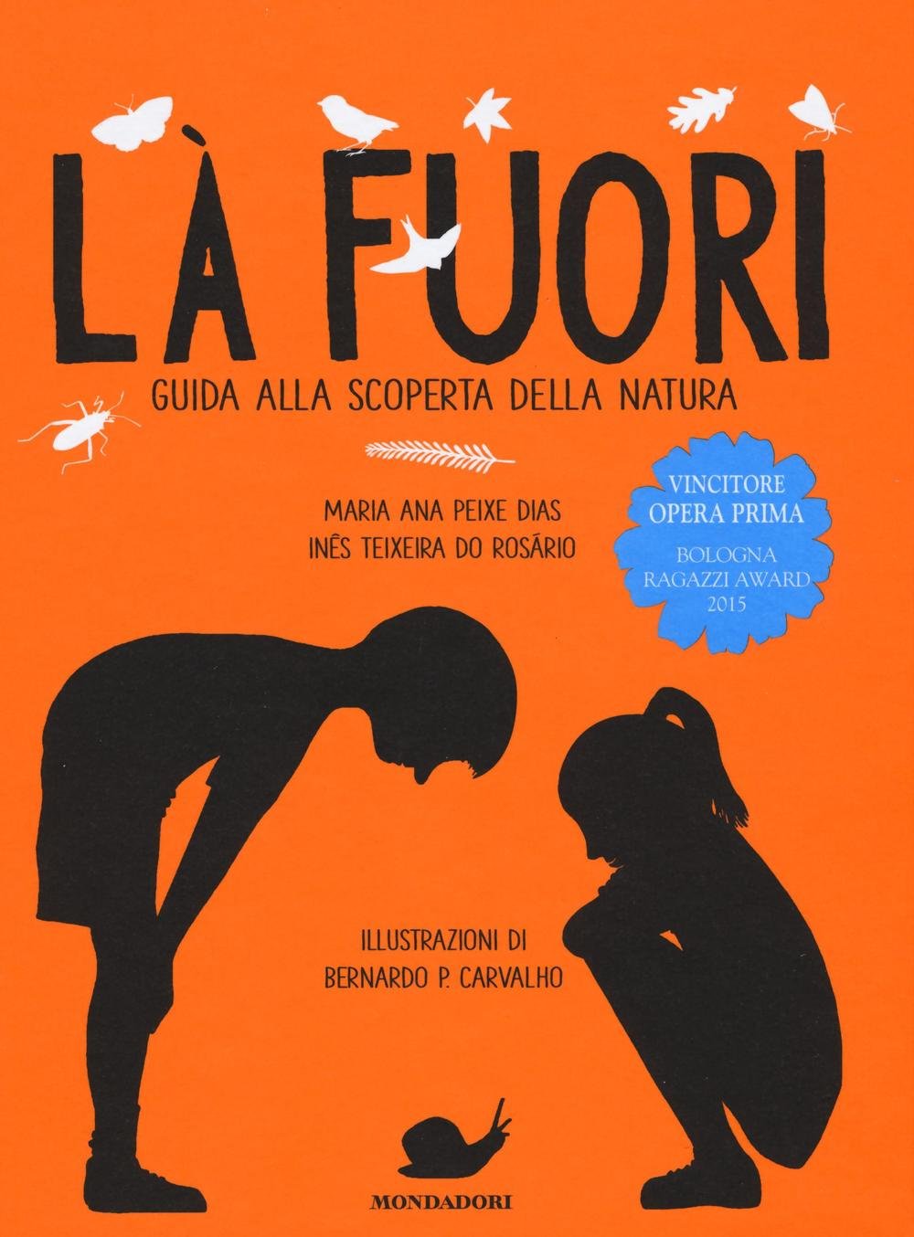 Immagine per articolo