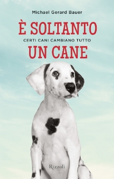Immagine per articolo