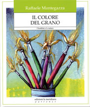 Immagine per articolo