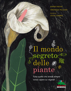 Immagine per articolo