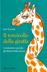 Immagine per articolo