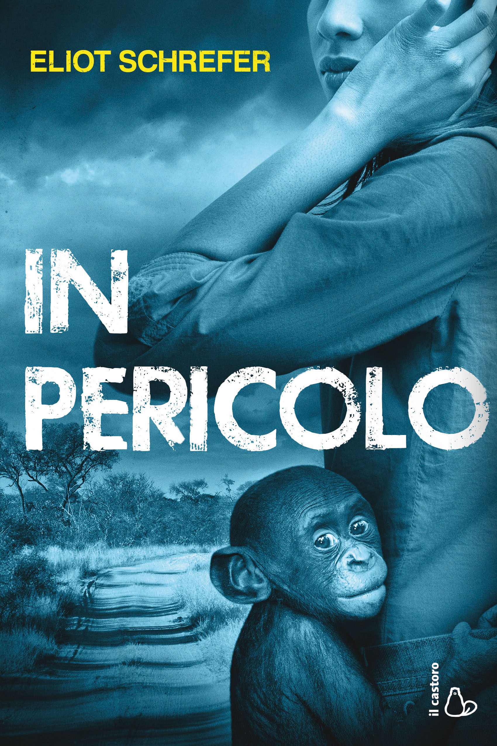 Immagine per articolo